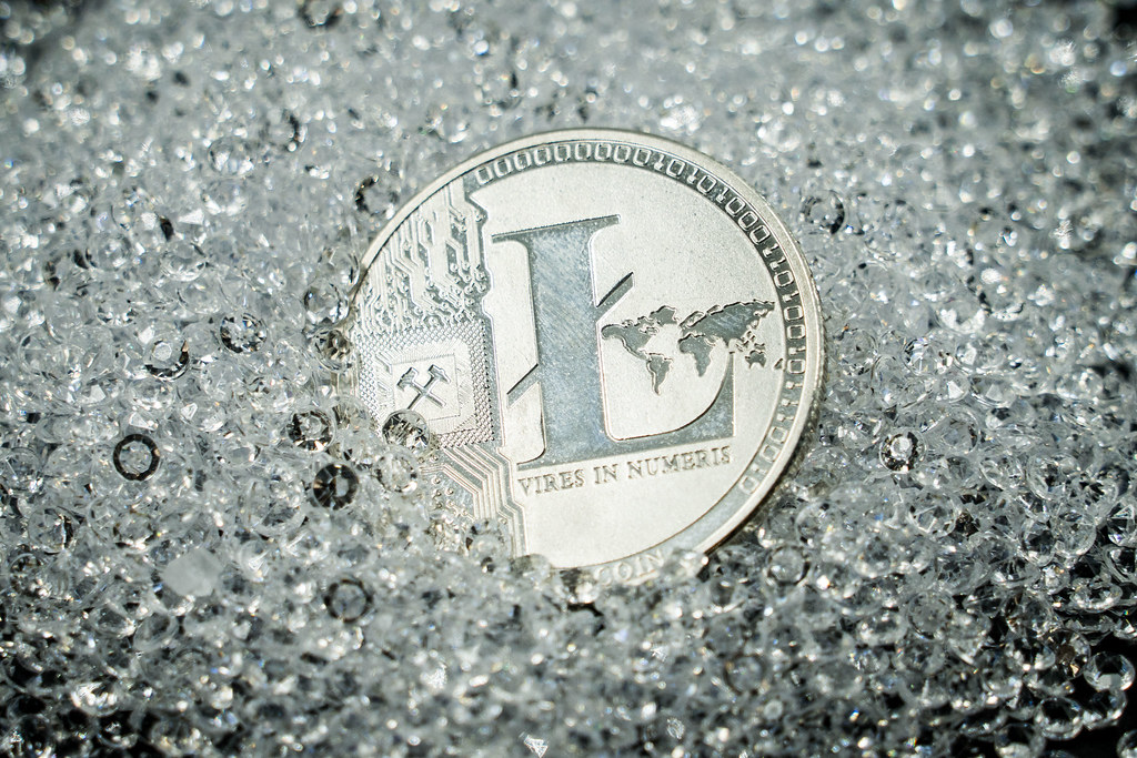 does litecoin have a future