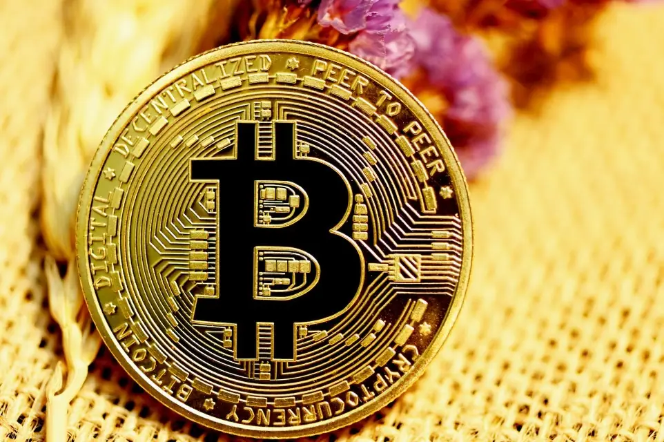 The Bitcoin Champion Review 2023